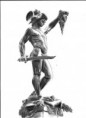 /album/jana-lenzova/perseus-jpg/